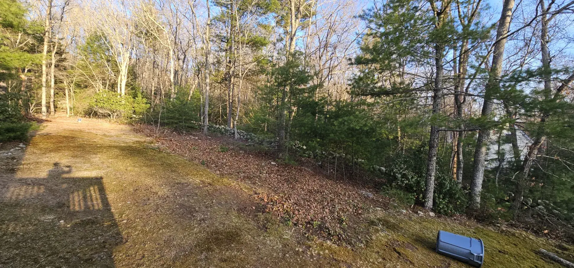 Gallery image 11